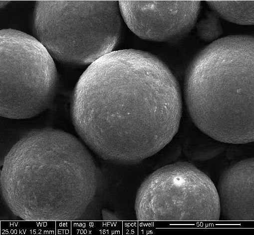 Supplied SEM micrograph with original instrument annotations and scale bar
